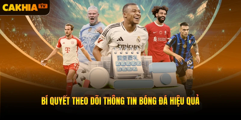 Bí quyết theo dõi thông tin bóng đá hiệu quả
